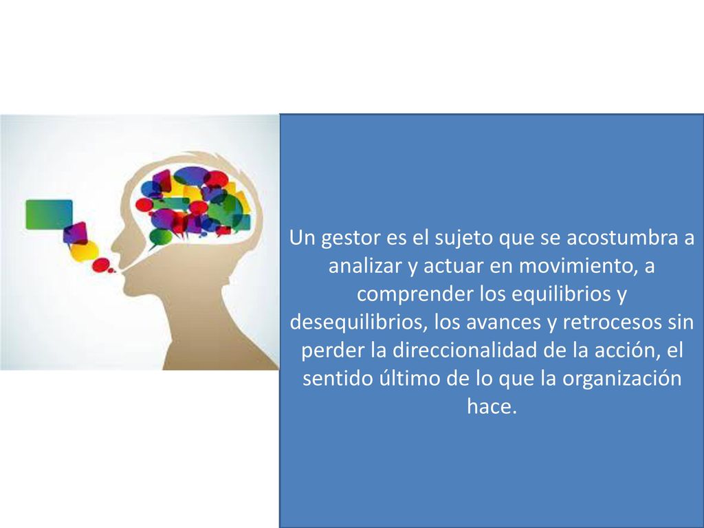 Un gestor es el sujeto que se acostumbra a analizar y actuar en movimiento, a comprender los equilibrios y desequilibrios, los avances y retrocesos sin perder la direccionalidad de la acción, el sentido último de lo que la organización hace.
