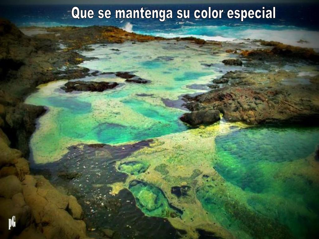 Que se mantenga su color especial