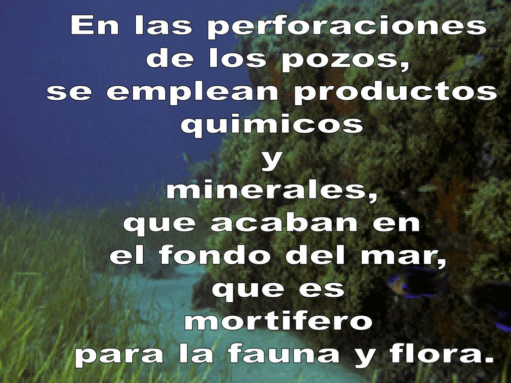 En las perforaciones de los pozos, se emplean productos. quimicos. y. minerales, que acaban en.