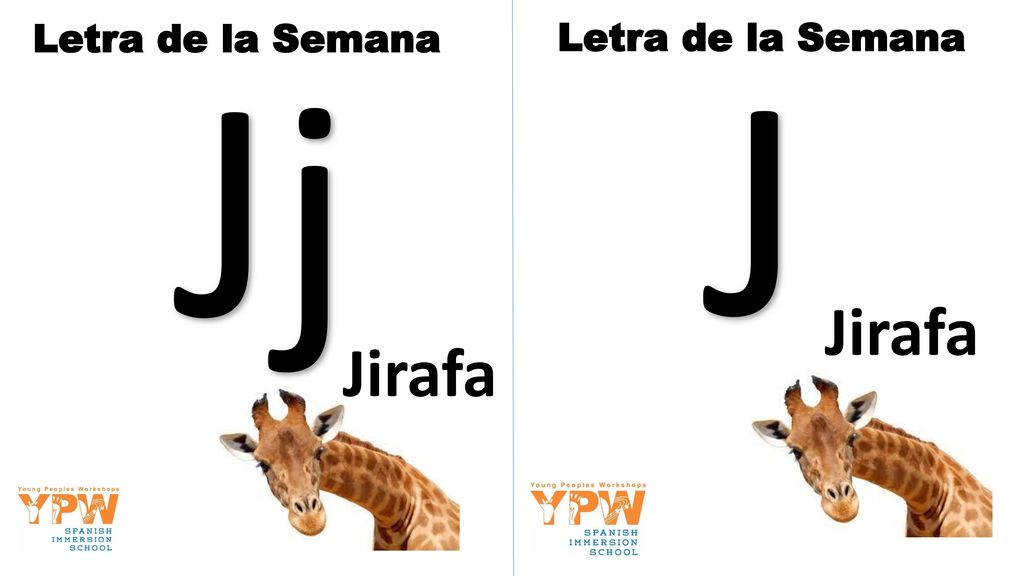 Letra de la Semana Jj Letra de la Semana J Jirafa Jirafa