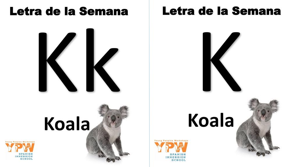 Letra de la Semana Kk Letra de la Semana K Koala Koala