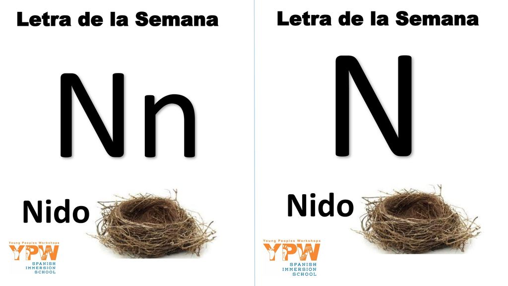 Letra de la Semana Letra de la Semana N Nn Nido Nido