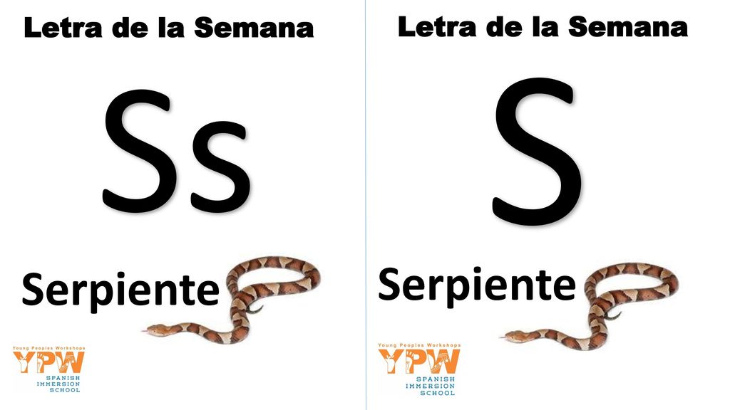 Letra de la Semana Letra de la Semana S Ss Serpiente Serpiente