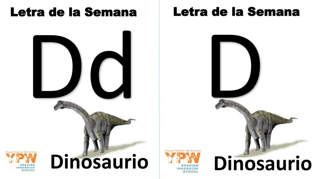 Letra de la Semana Dd Letra de la Semana D Dinosaurio Dinosaurio