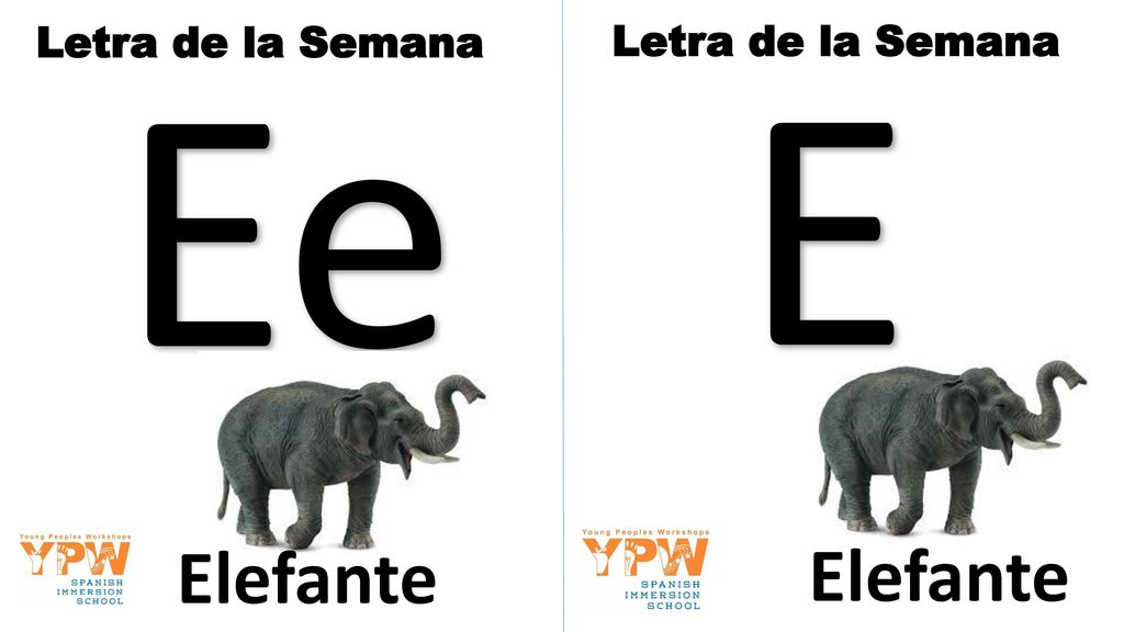 Letra de la Semana Ee Letra de la Semana E Elefante Elefante