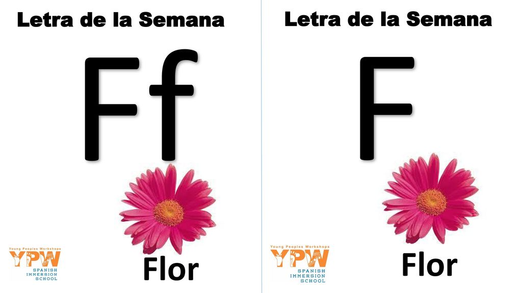 Letra de la Semana Ff Letra de la Semana F Flor Flor
