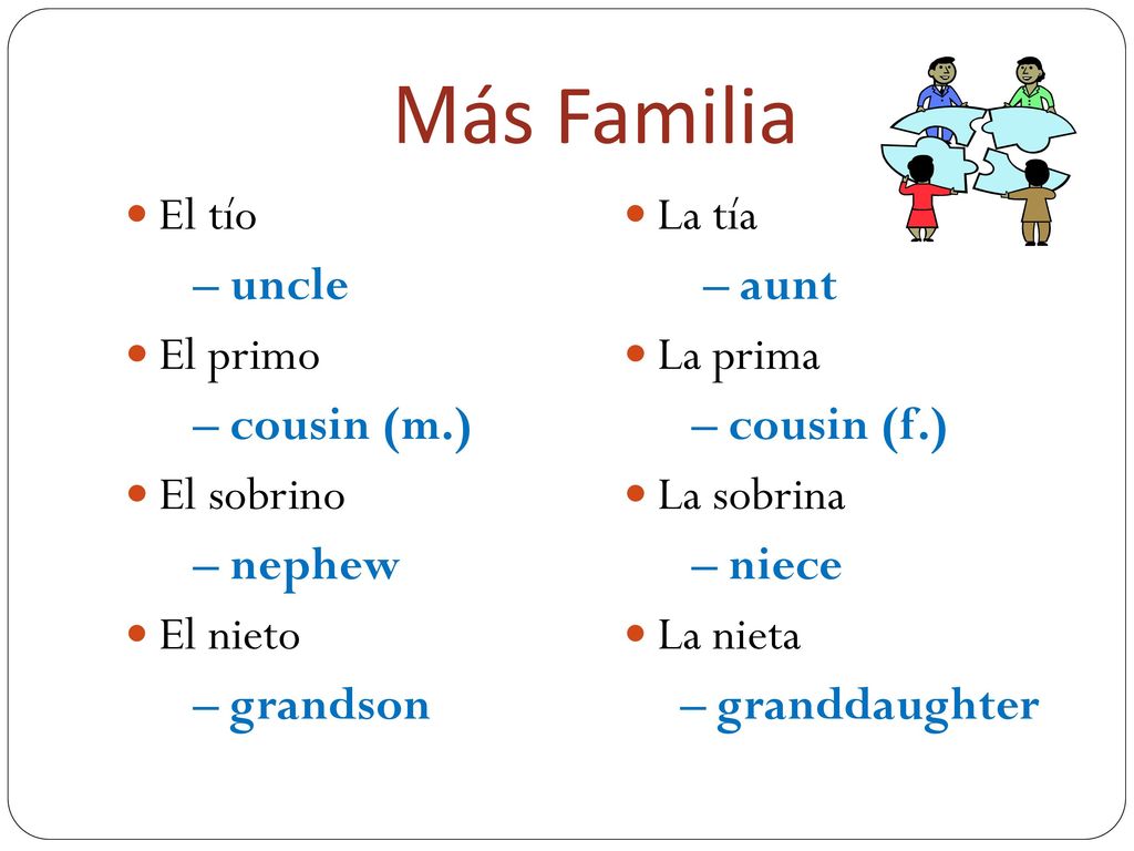Más Familia El tío – uncle El primo – cousin (m.) El sobrino – nephew
