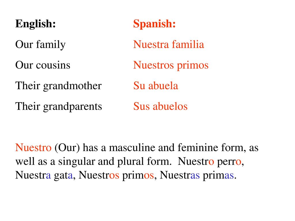 English: Spanish: Our family Nuestra familia. Our cousins Nuestros primos. Their grandmother Su abuela.