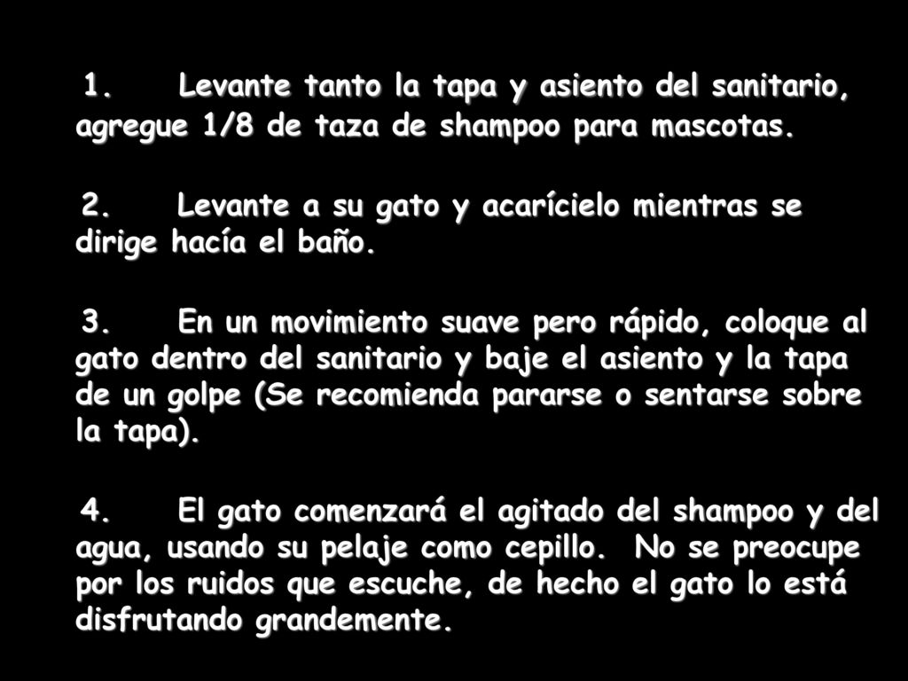 1. Levante tanto la tapa y asiento del sanitario, agregue 1/8 de taza de shampoo para mascotas.