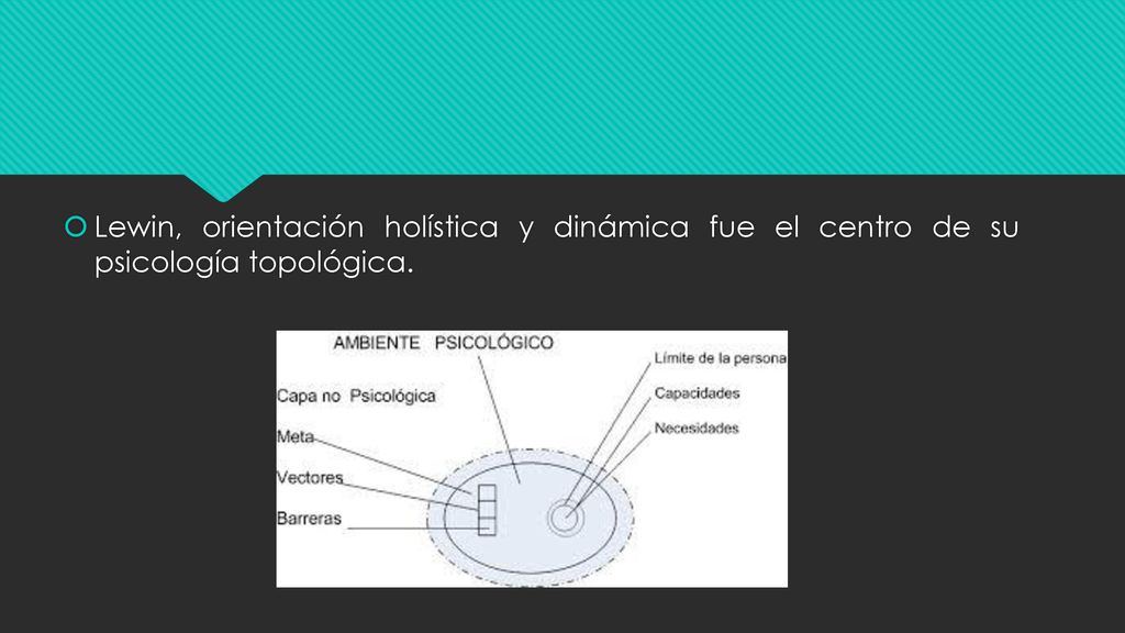 Lewin, orientación holística y dinámica fue el centro de su psicología topológica.