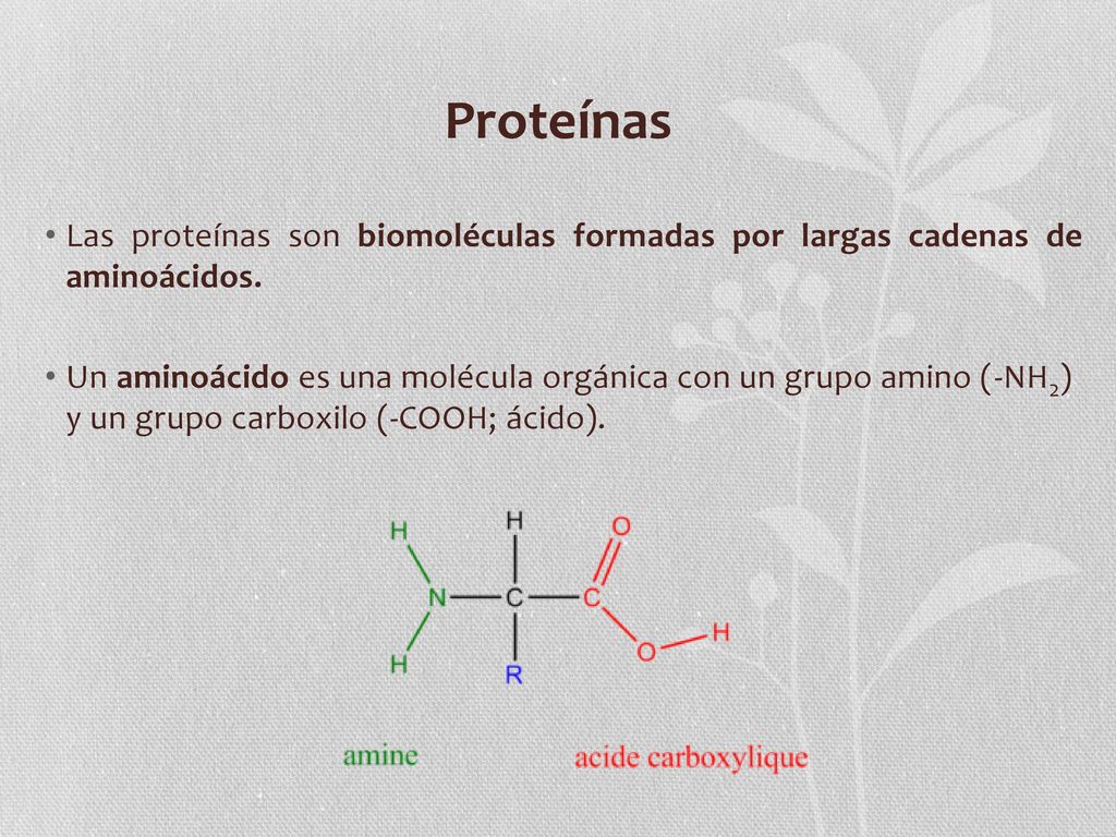 Proteínas Las proteínas son biomoléculas formadas por largas cadenas de aminoácidos.