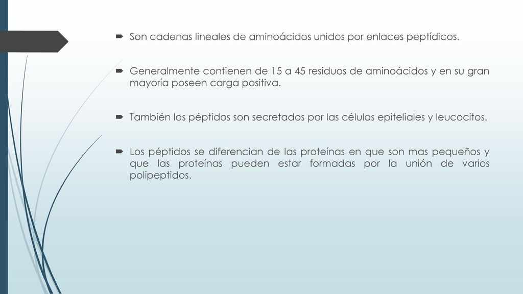 Son cadenas lineales de aminoácidos unidos por enlaces peptídicos.