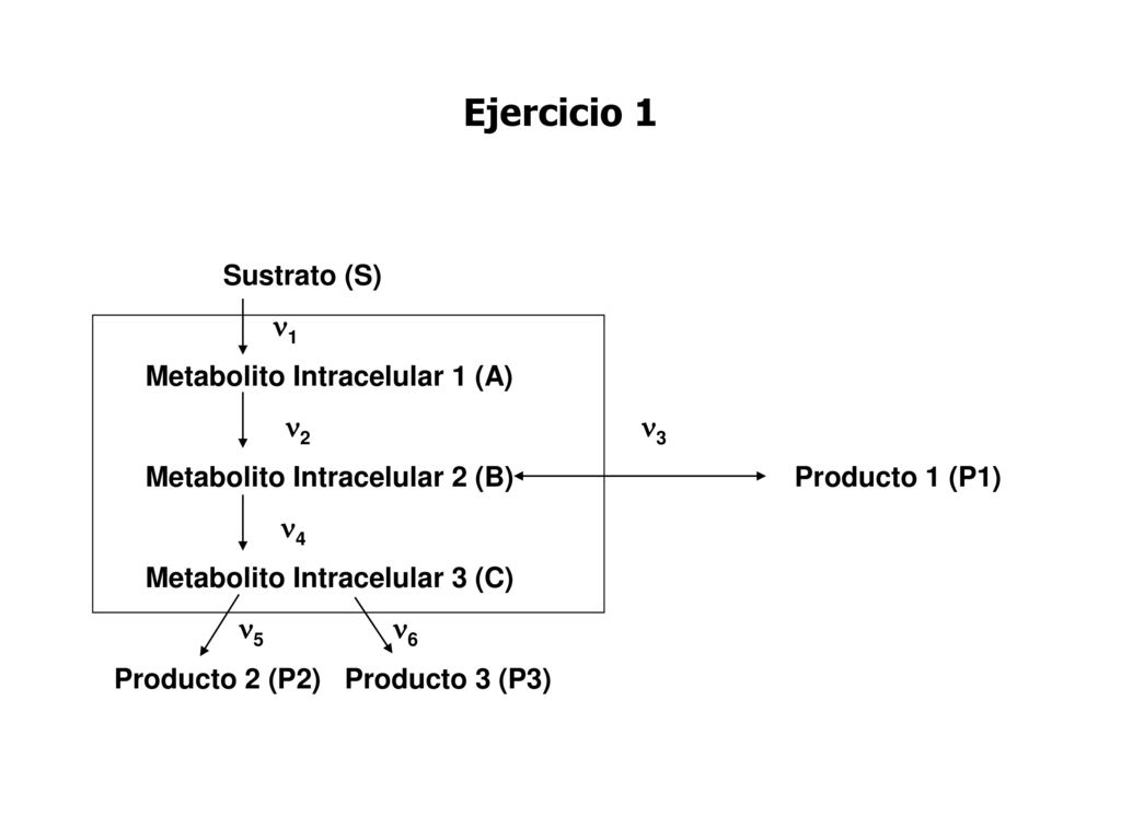 Ejercicio 1 Sustrato (S) 1 Metabolito Intracelular 1 (A) 2 3