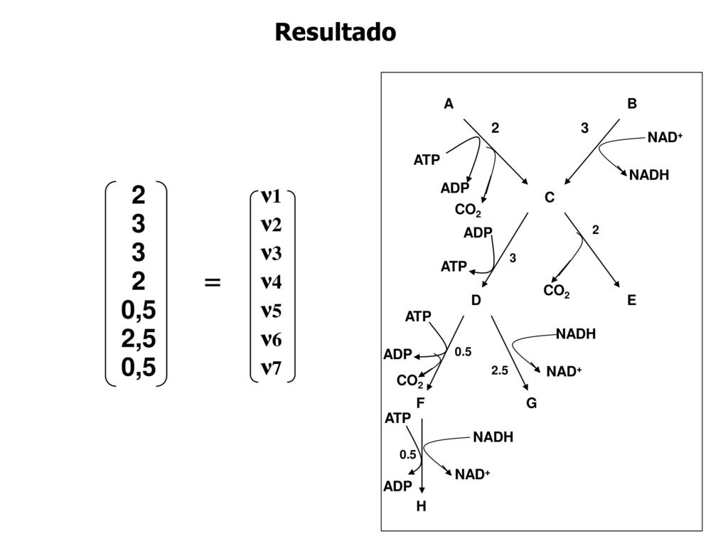 Resultado B A C D E F G H ATP CO2 NAD+ NADH ADP