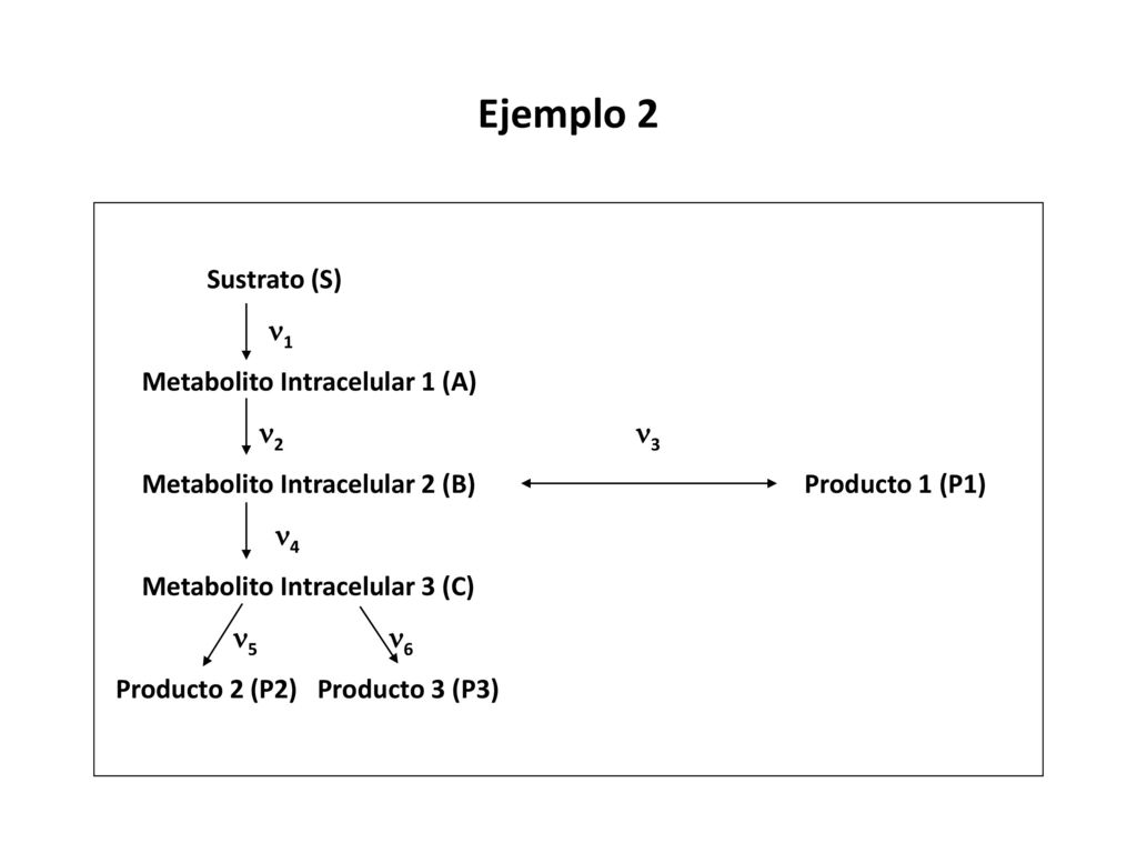 Ejemplo 2 Sustrato (S) 1 Metabolito Intracelular 1 (A) 2 3