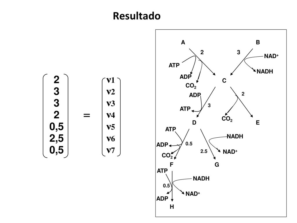 Resultado B A C D E F G H ATP CO2 NAD+ NADH ADP