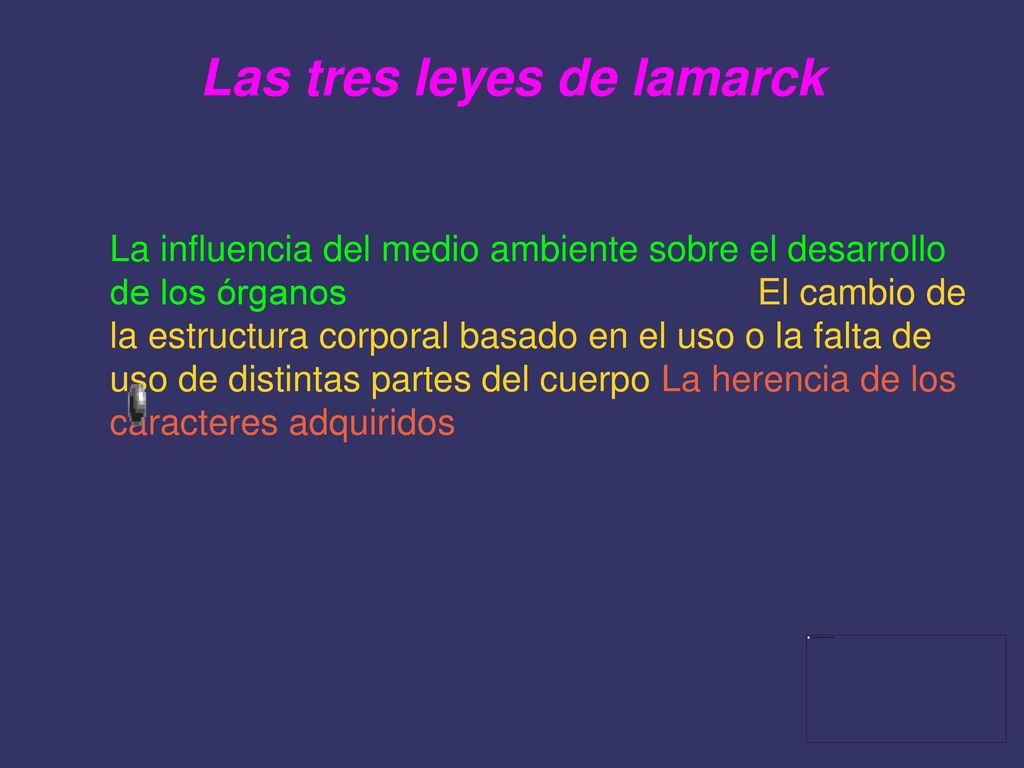 ٭ Miembro de la Academia Francesa de Ciencias, trabajó como botánico del jardín du Roi hasta que la institución se reconvirtió,durante la revolución ,en el Museo Nacional de Historia Natural ٭Director del departamento de animales sin esqueleto,a los que mas tarde llamó invertebrados,con los que hizo la primera subdivisión,de los grupos hoy día(arácnidos,insectos,crustáceos y equinodermos)