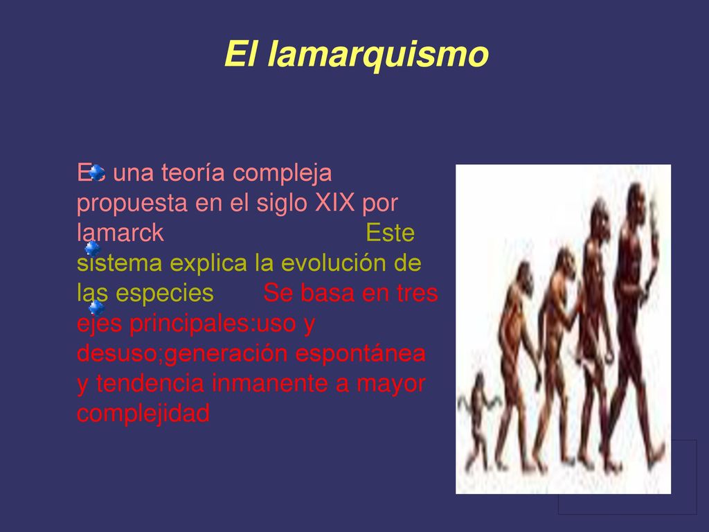 ˖Sus estudios siete volúmenes de su obra principal(Historia de los invertebrados) ˖Publicó tratados sobre temas tan diversos como meteorología,geología,química paleontología,investigación sobre la organización de los seres vivos....