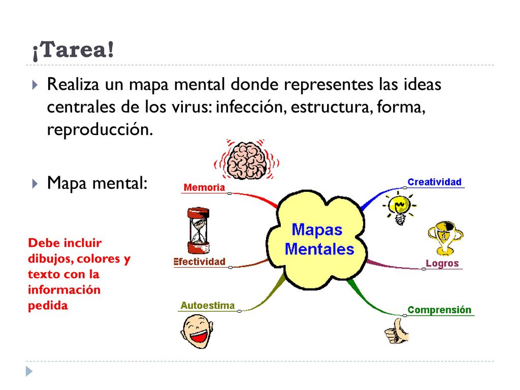 ¡Tarea! Realiza un mapa mental donde representes las ideas centrales de los virus: infección, estructura, forma, reproducción.