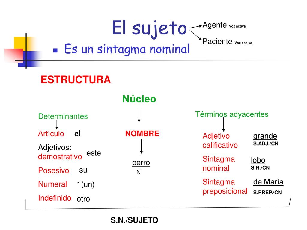 El sujeto Es un sintagma nominal ESTRUCTURA Agente Voz activa
