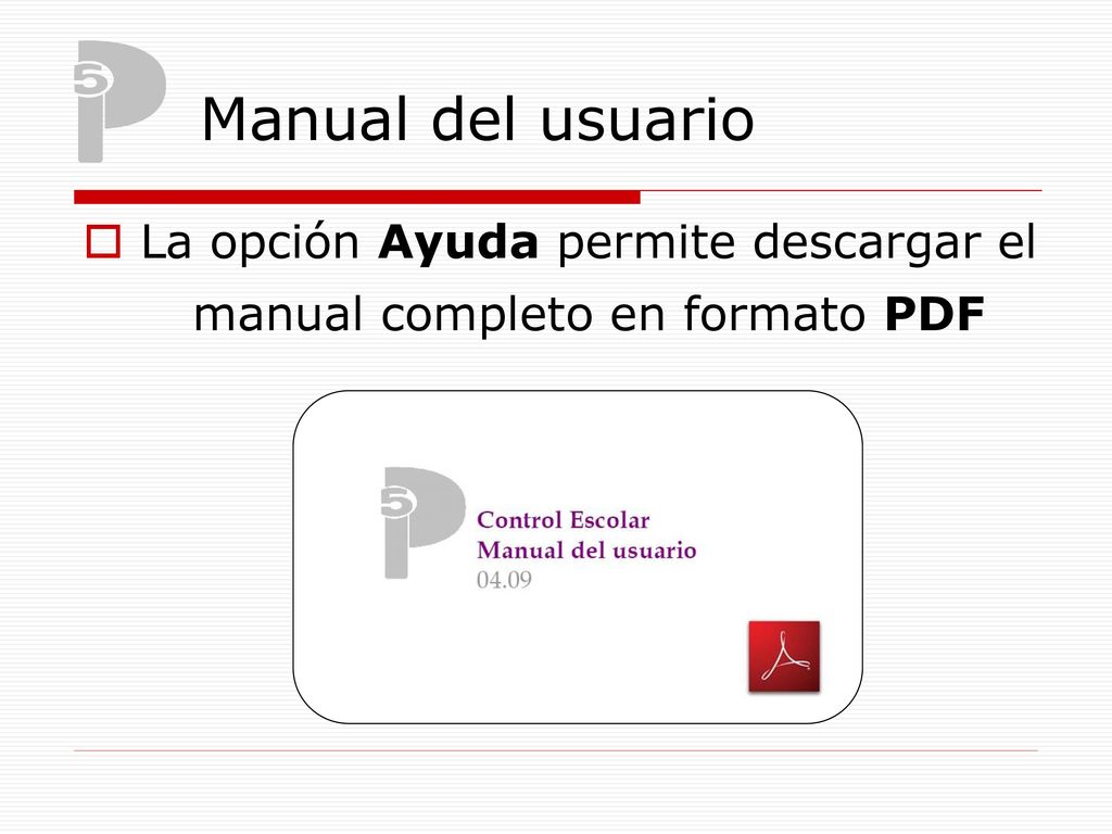 La opción Ayuda permite descargar el manual completo en formato PDF