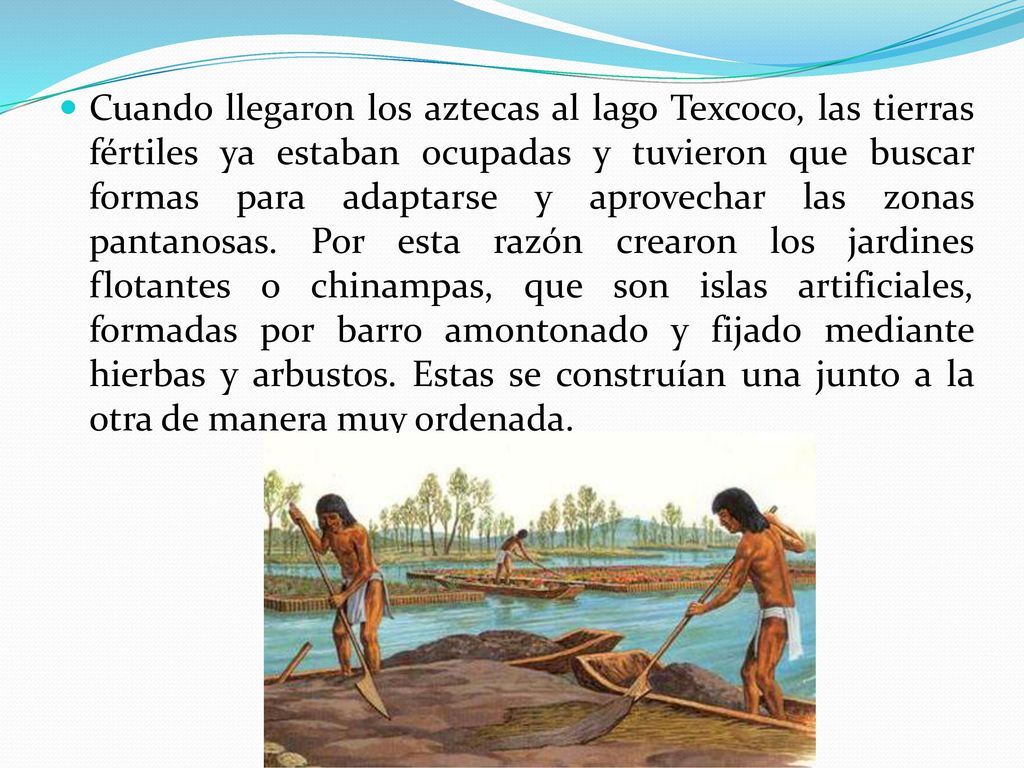 Cuando llegaron los aztecas al lago Texcoco, las tierras fértiles ya estaban ocupadas y tuvieron que buscar formas para adaptarse y aprovechar las zonas pantanosas.