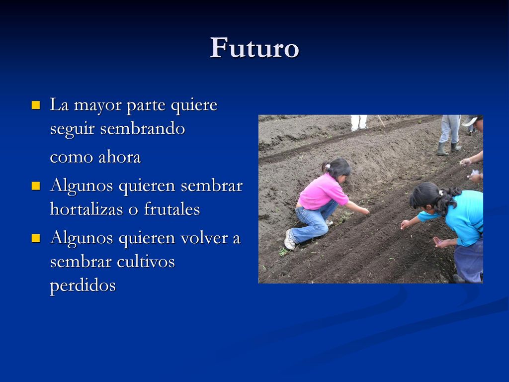 Futuro La mayor parte quiere seguir sembrando como ahora