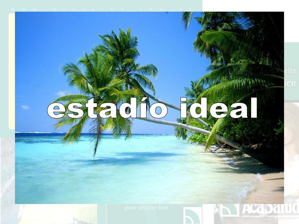 ¡fomentar! estadío ideal escuchar cordialidad buen humor