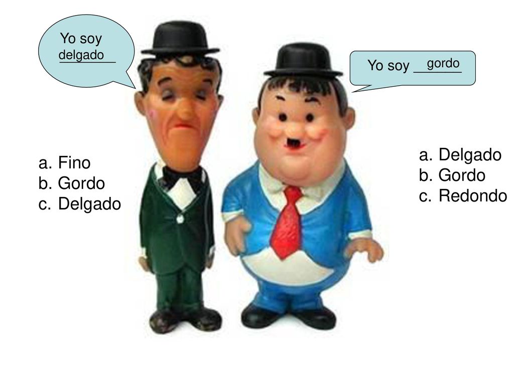 Delgado Fino Gordo Gordo Redondo Delgado Yo soy _______ Yo soy ______