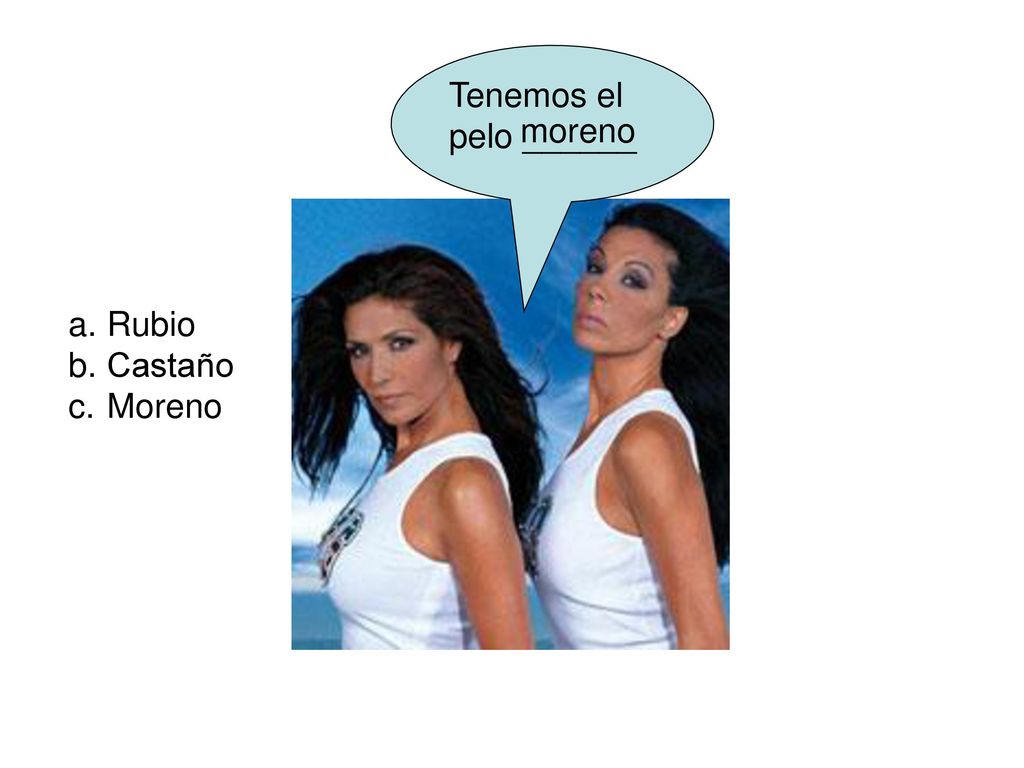 Tenemos el pelo ______ moreno Rubio Castaño Moreno