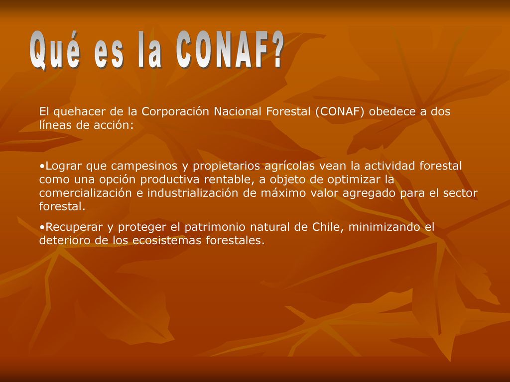 Qué es la CONAF El quehacer de la Corporación Nacional Forestal (CONAF) obedece a dos líneas de acción:
