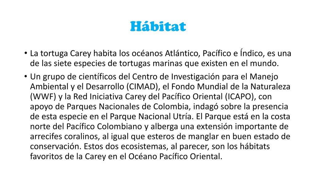 Hábitat La tortuga Carey habita los océanos Atlántico, Pacífico e Índico, es una de las siete especies de tortugas marinas que existen en el mundo.