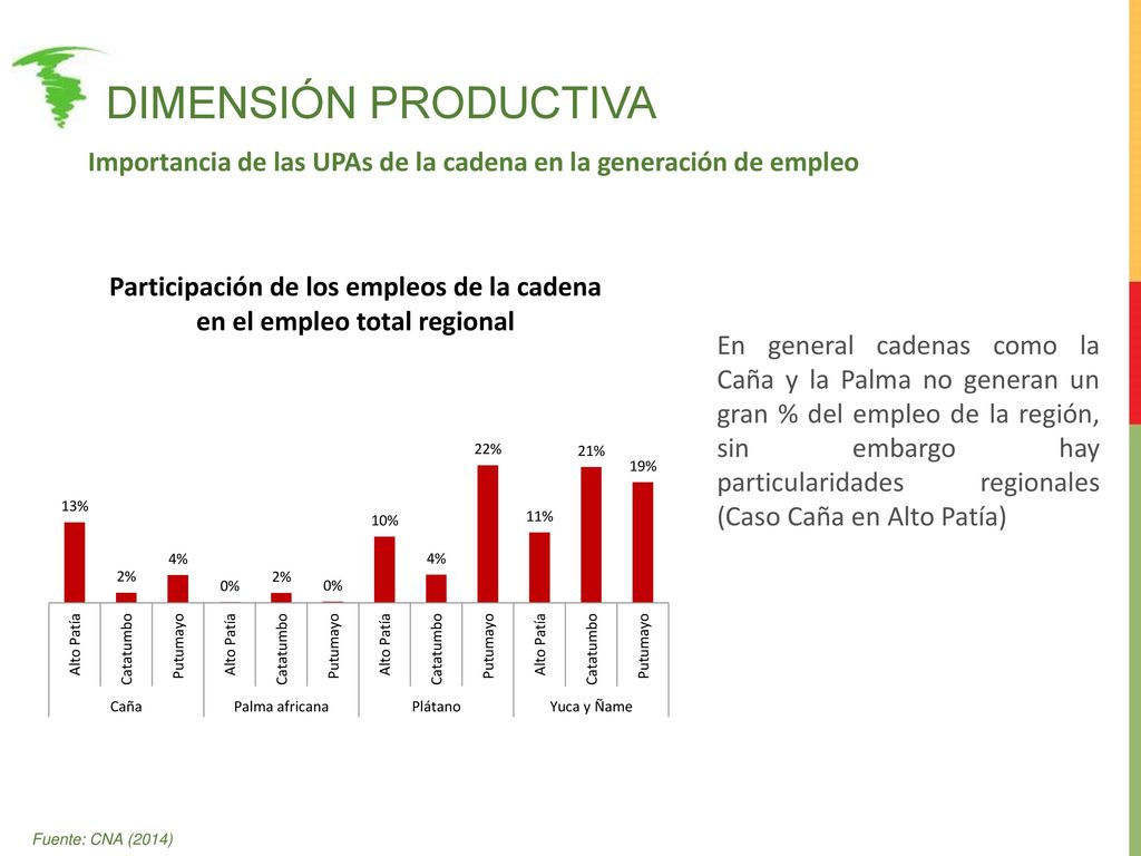 Dimensión productiva Importancia de las UPAs de la cadena en la generación de empleo.