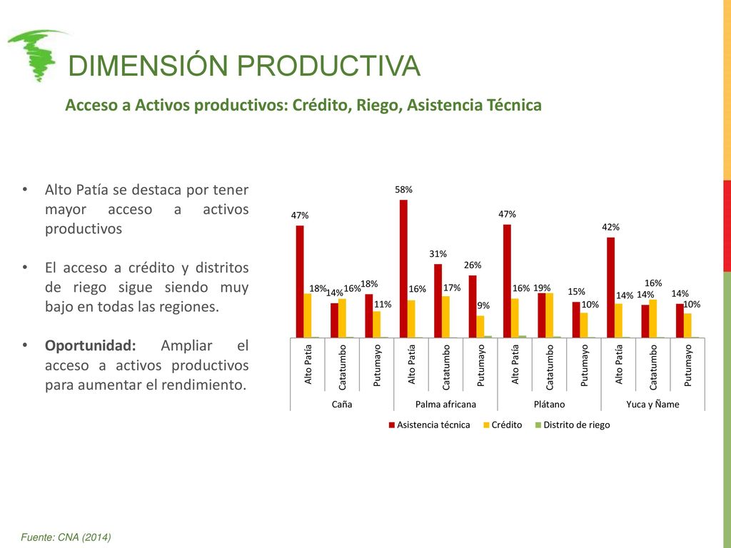 Dimensión productiva Acceso a Activos productivos: Crédito, Riego, Asistencia Técnica.