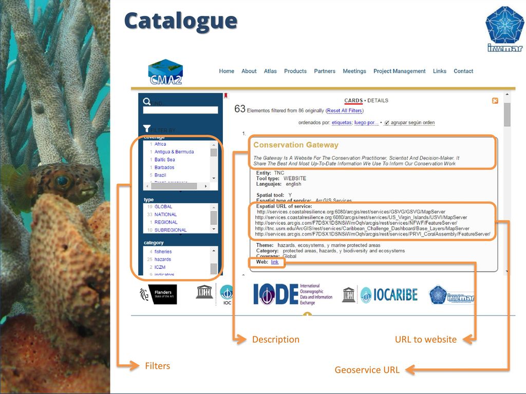 Catalogue Description URL to website Filters Geoservice URL