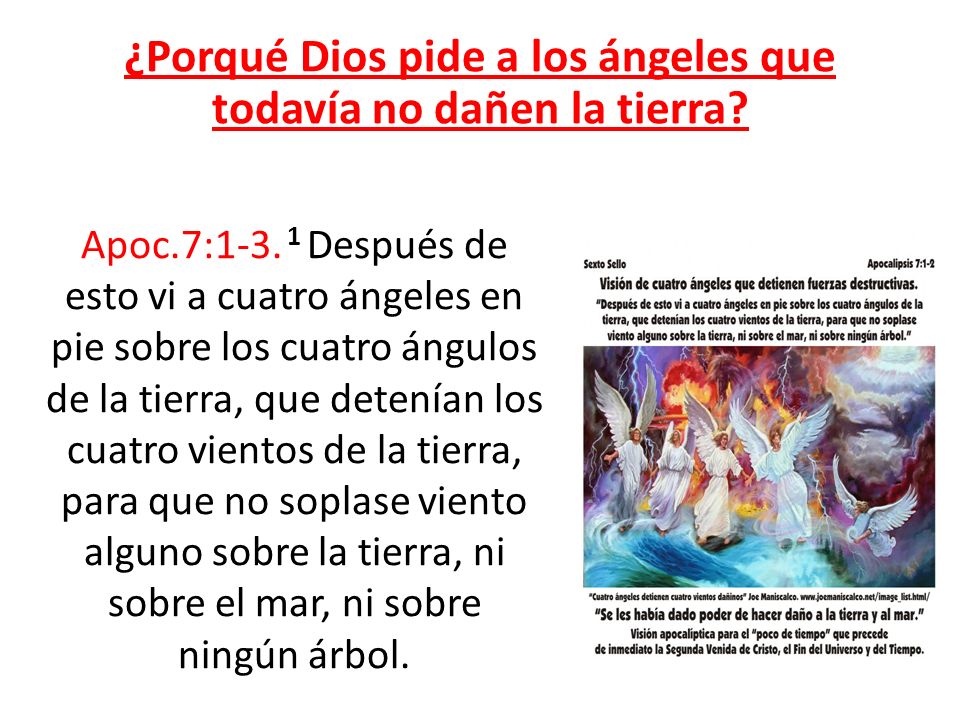 ¿Porqué Dios pide a los ángeles que todavía no dañen la tierra
