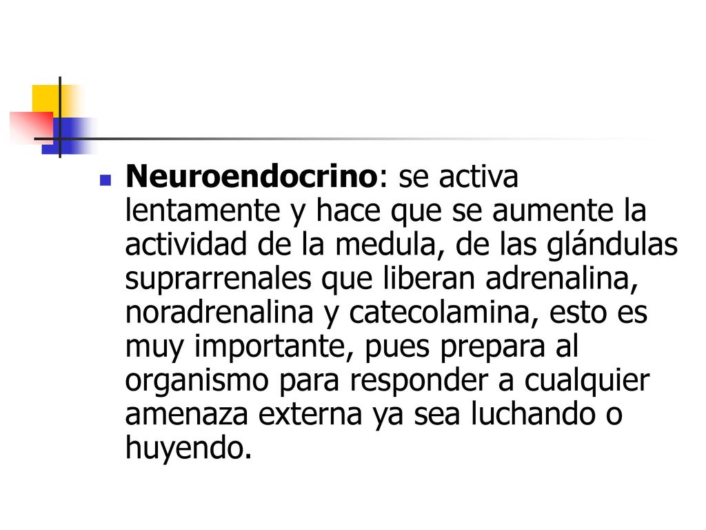 Neuroendocrino: se activa lentamente y hace que se aumente la actividad de la medula, de las glándulas suprarrenales que liberan adrenalina, noradrenalina y catecolamina, esto es muy importante, pues prepara al organismo para responder a cualquier amenaza externa ya sea luchando o huyendo.