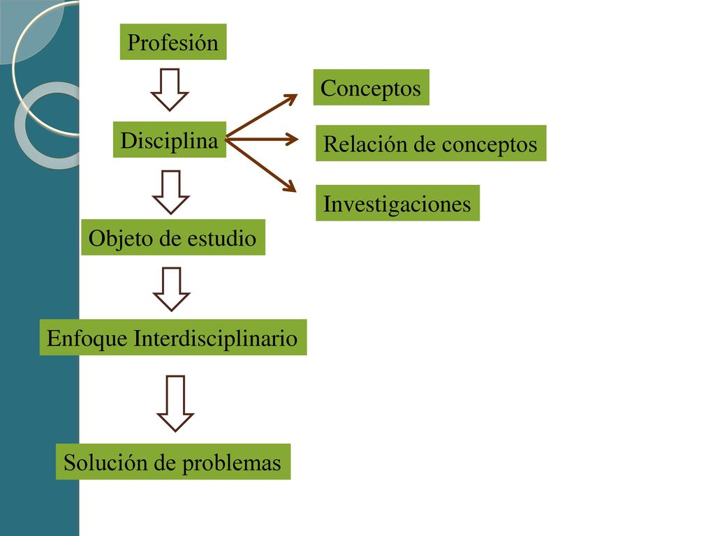 Profesión Conceptos. Disciplina. Relación de conceptos. Investigaciones. Objeto de estudio. Enfoque Interdisciplinario.