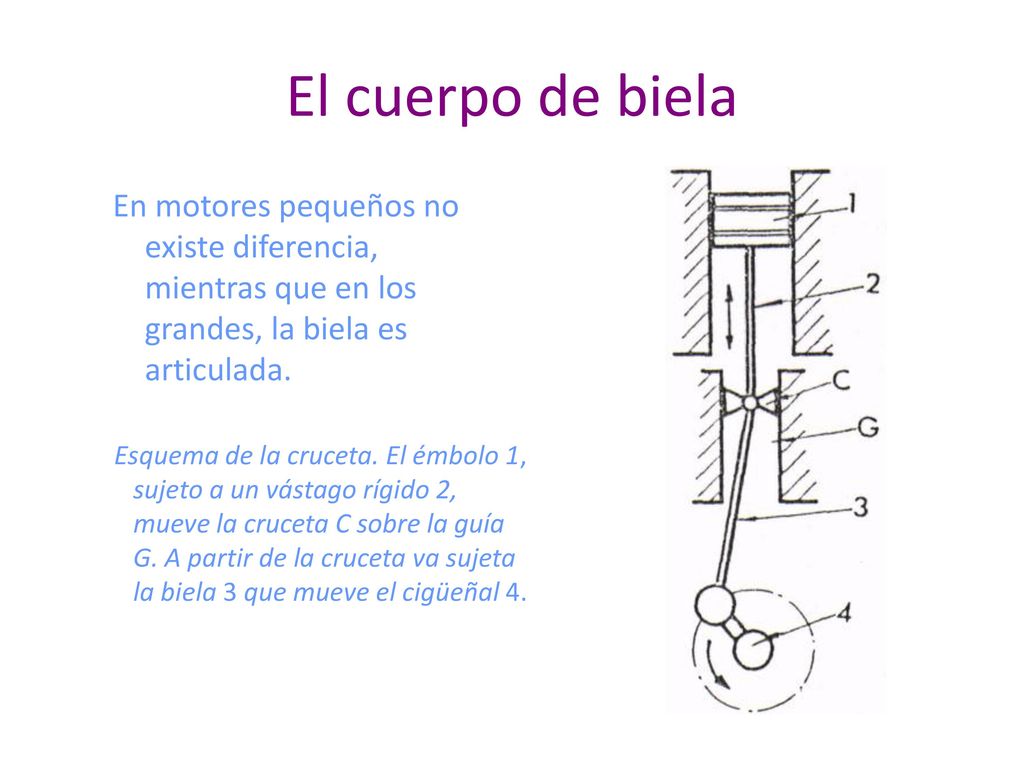 El cuerpo de biela En motores pequeños no existe diferencia, mientras que en los grandes, la biela es articulada.
