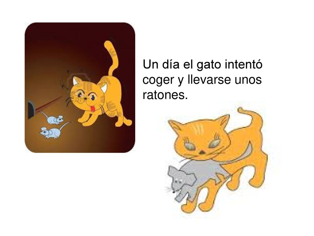 Un día el gato intentó coger y llevarse unos ratones.