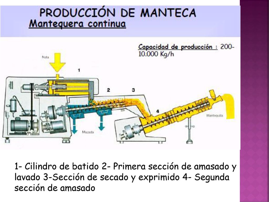 1- Cilindro de batido 2- Primera sección de amasado y lavado 3-Sección de secado y exprimido 4- Segunda sección de amasado