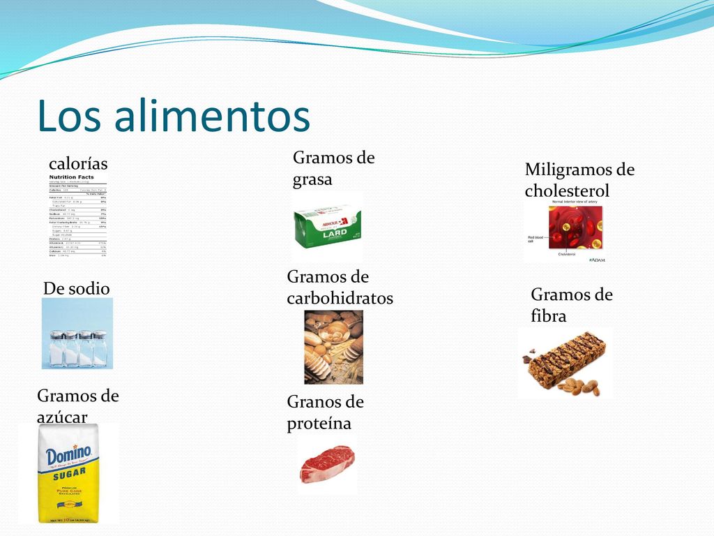 Los alimentos Gramos de grasa calorías Miligramos de cholesterol