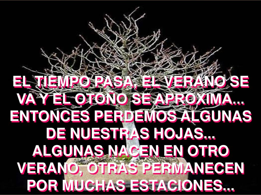 EL TIEMPO PASA, EL VERANO SE VA Y EL OTOÑO SE APROXIMA