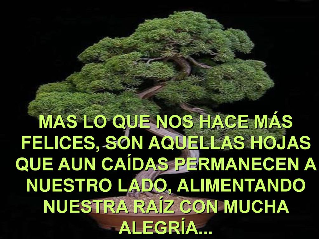 MAS LO QUE NOS HACE MÁS FELICES, SON AQUELLAS HOJAS QUE AUN CAÍDAS PERMANECEN A NUESTRO LADO, ALIMENTANDO NUESTRA RAÍZ CON MUCHA ALEGRÍA...