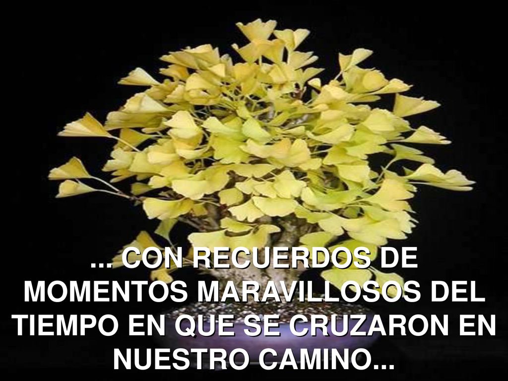 ... CON RECUERDOS DE MOMENTOS MARAVILLOSOS DEL TIEMPO EN QUE SE CRUZARON EN NUESTRO CAMINO...
