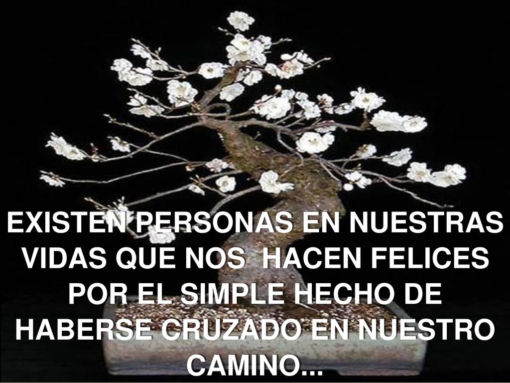 EXISTEN PERSONAS EN NUESTRAS VIDAS QUE NOS HACEN FELICES POR EL SIMPLE HECHO DE HABERSE CRUZADO EN NUESTRO CAMINO...
