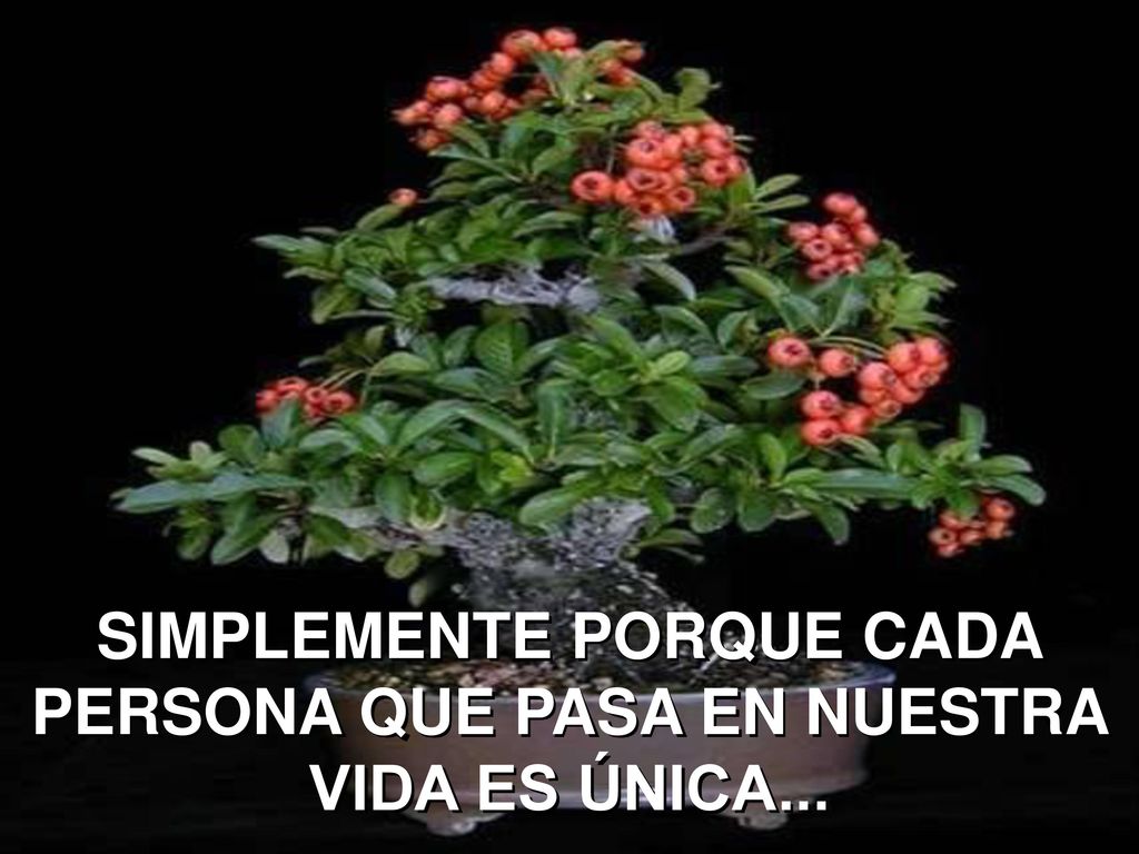 SIMPLEMENTE PORQUE CADA PERSONA QUE PASA EN NUESTRA VIDA ES ÚNICA...