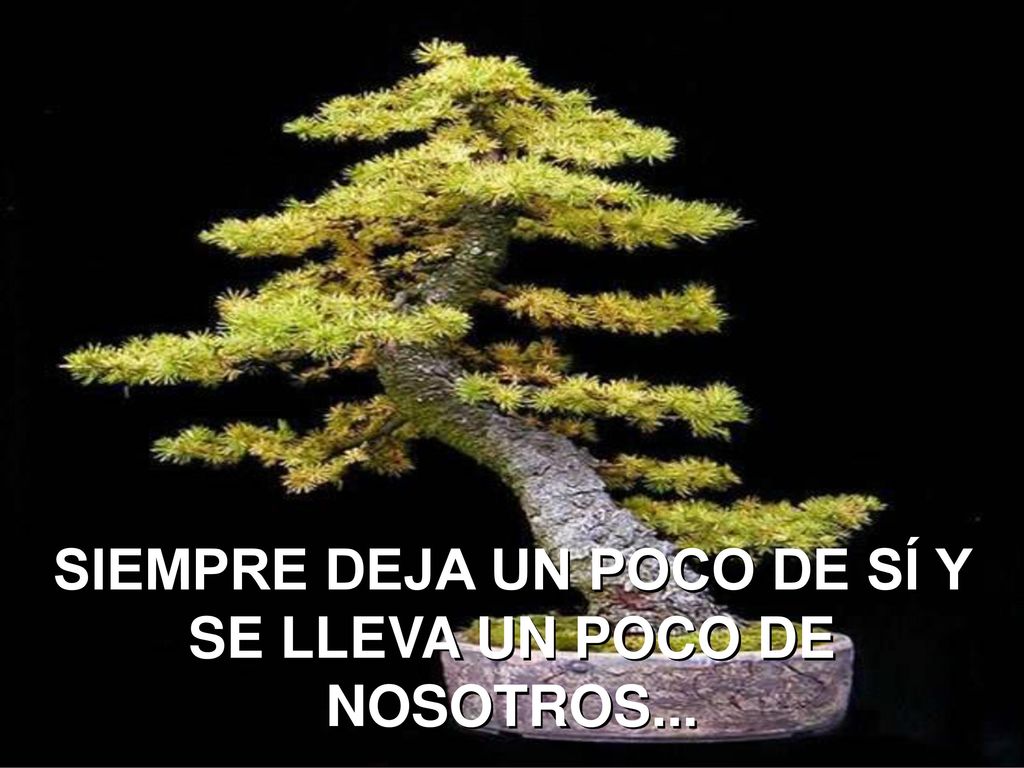 SIEMPRE DEJA UN POCO DE SÍ Y SE LLEVA UN POCO DE NOSOTROS...