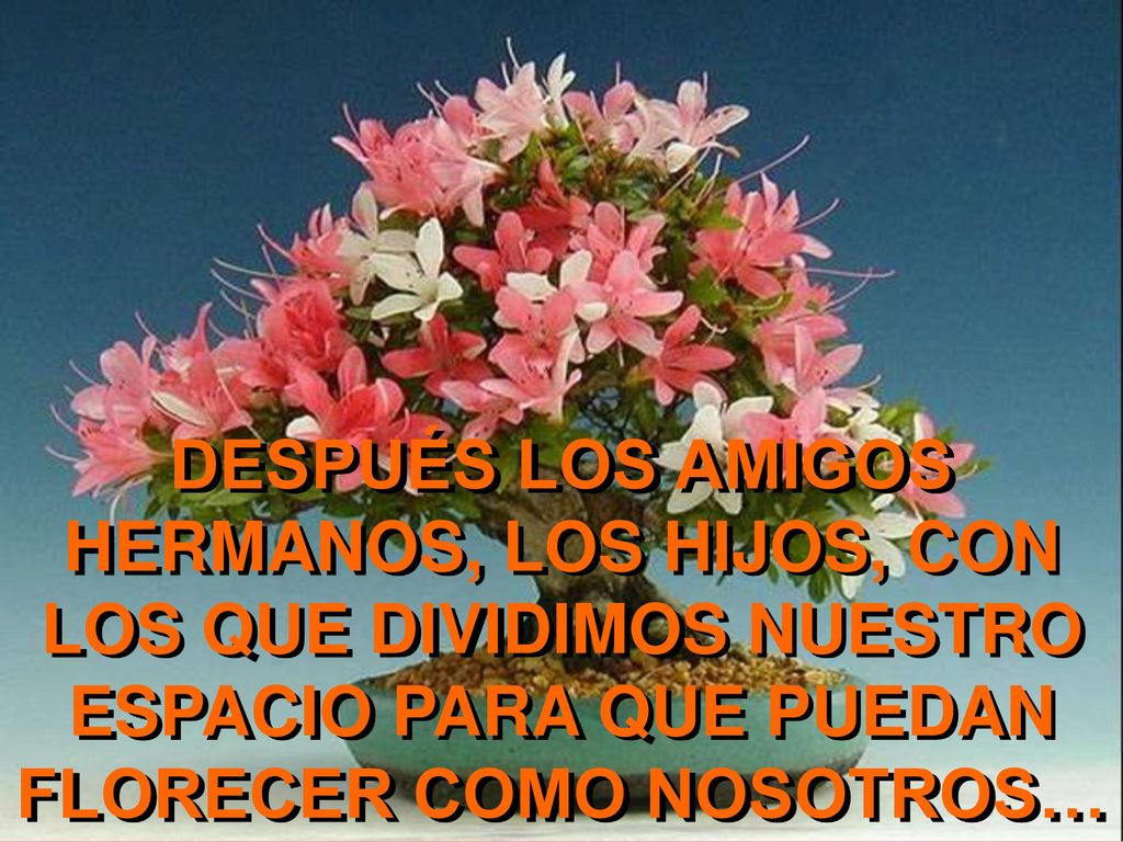 DESPUÉS LOS AMIGOS HERMANOS, LOS HIJOS, CON LOS QUE DIVIDIMOS NUESTRO ESPACIO PARA QUE PUEDAN FLORECER COMO NOSOTROS…