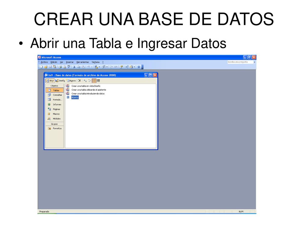 CREAR UNA BASE DE DATOS Abrir una Tabla e Ingresar Datos